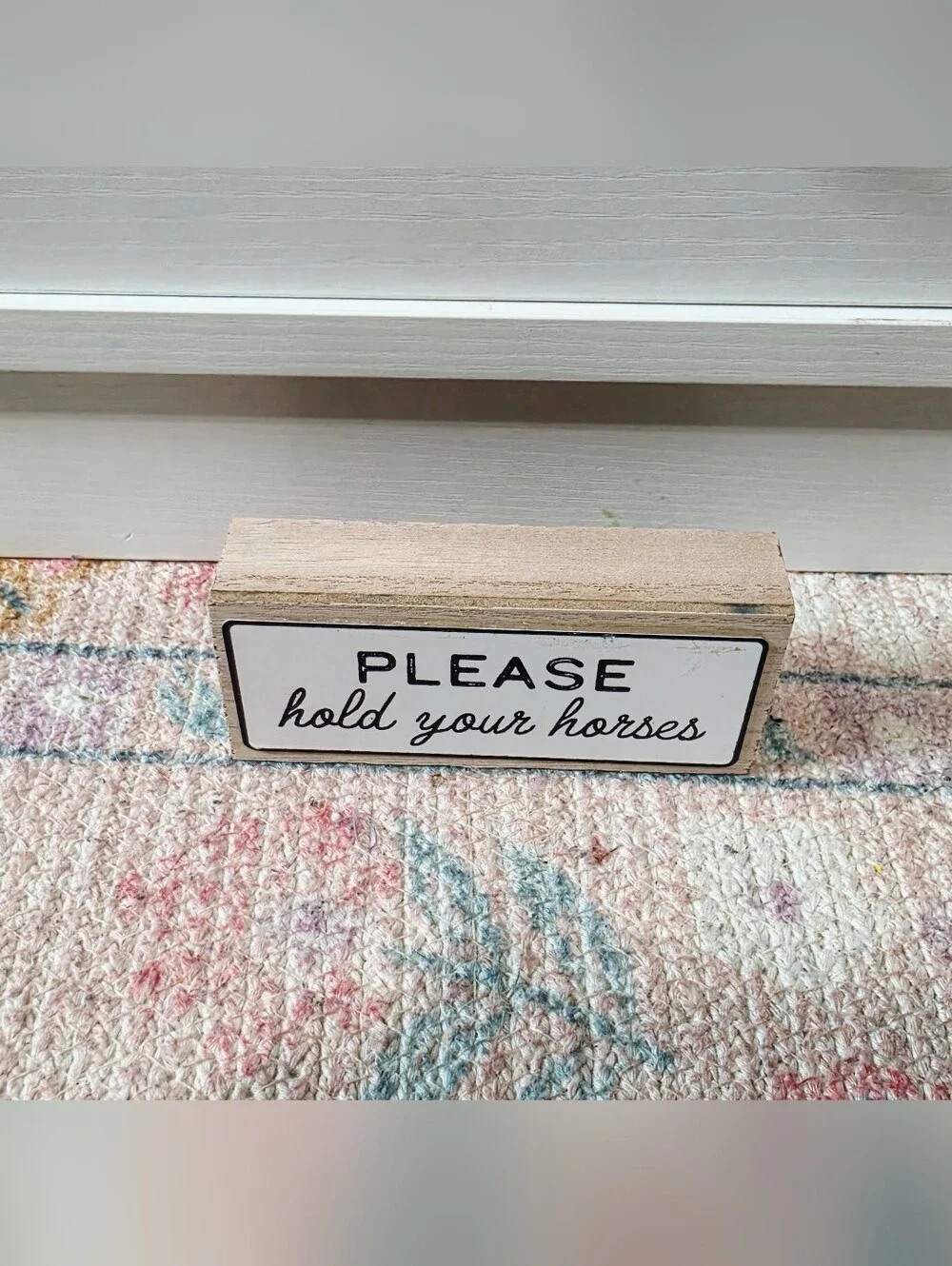 Target Bullseye Playground 2026 Mini Wood Sign - Please Hold Your Horses